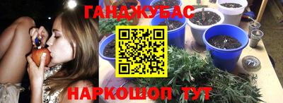 скорость Гагарин